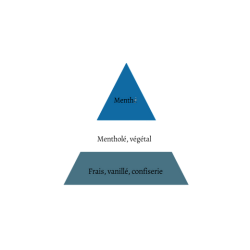 SEL DE NICOTINE MENTHE EXTREME