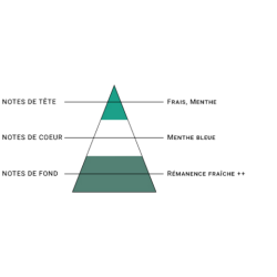 SEL DE NICOTINE MENTHE FRISSON
