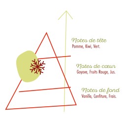 OASIS DE FRAICHEUR 50ML