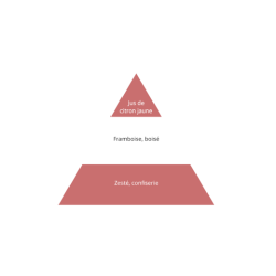 CITRON FRAMBOISE