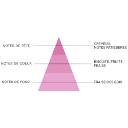 TIRAMISU FRAISE - TIRAMI'CHOU