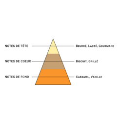 BISCUIT VANILLE - AVARICE