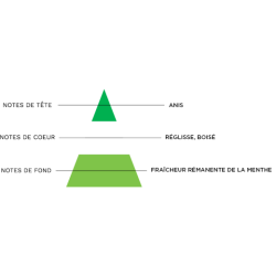 REGLISSE MENTHE - ORGUEIL 50ML
