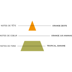 COCKTAIL EXOTIQUE - PARESSE  50ML