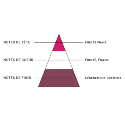 SEL DE NICOTINE FRAISE GARIGUETTE