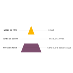 SEL DE NICOTINE BLOND LEGENDE