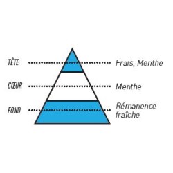 SEL DE NICOTINE MENTHE GLACIALE